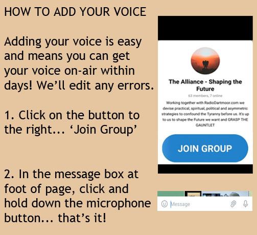 add your voice